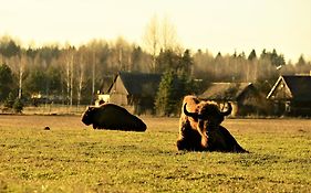Białowieski Dworek